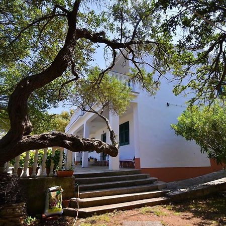Apartmani Badurina - Crnika Lun  Εξωτερικό φωτογραφία